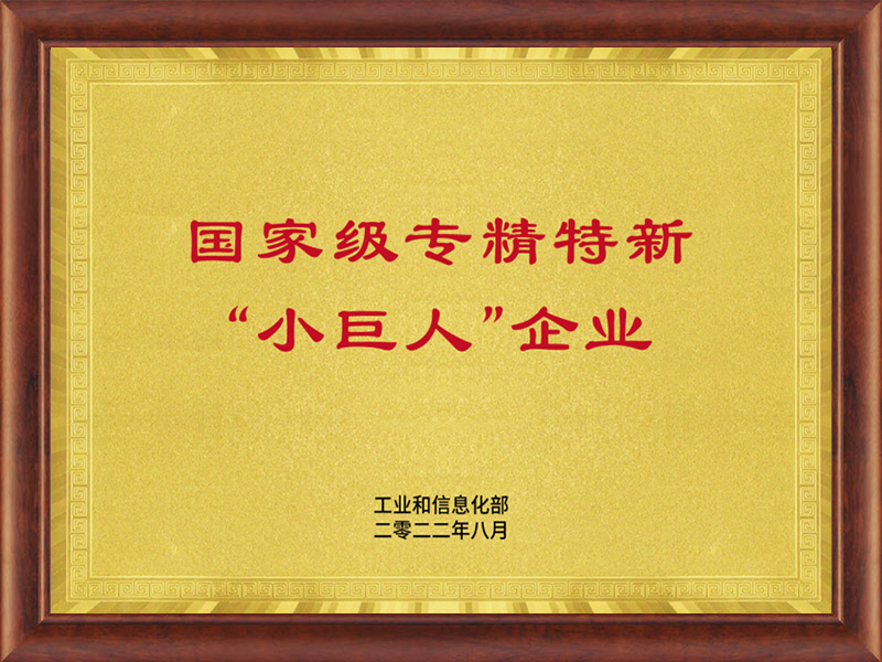 國家專精特新“小巨人”企業(yè)